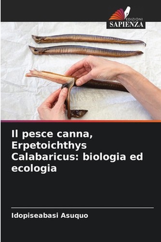 Pesce canna erpetoichthys - pesce,