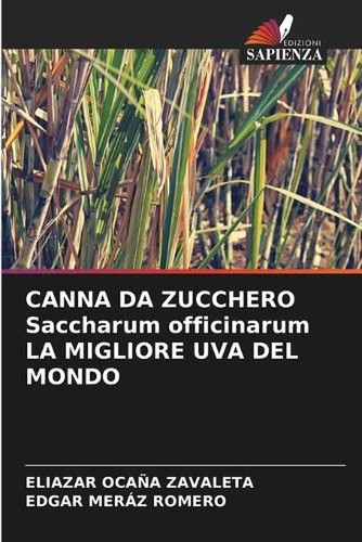 Canna zucchero saccharum - zucchero,